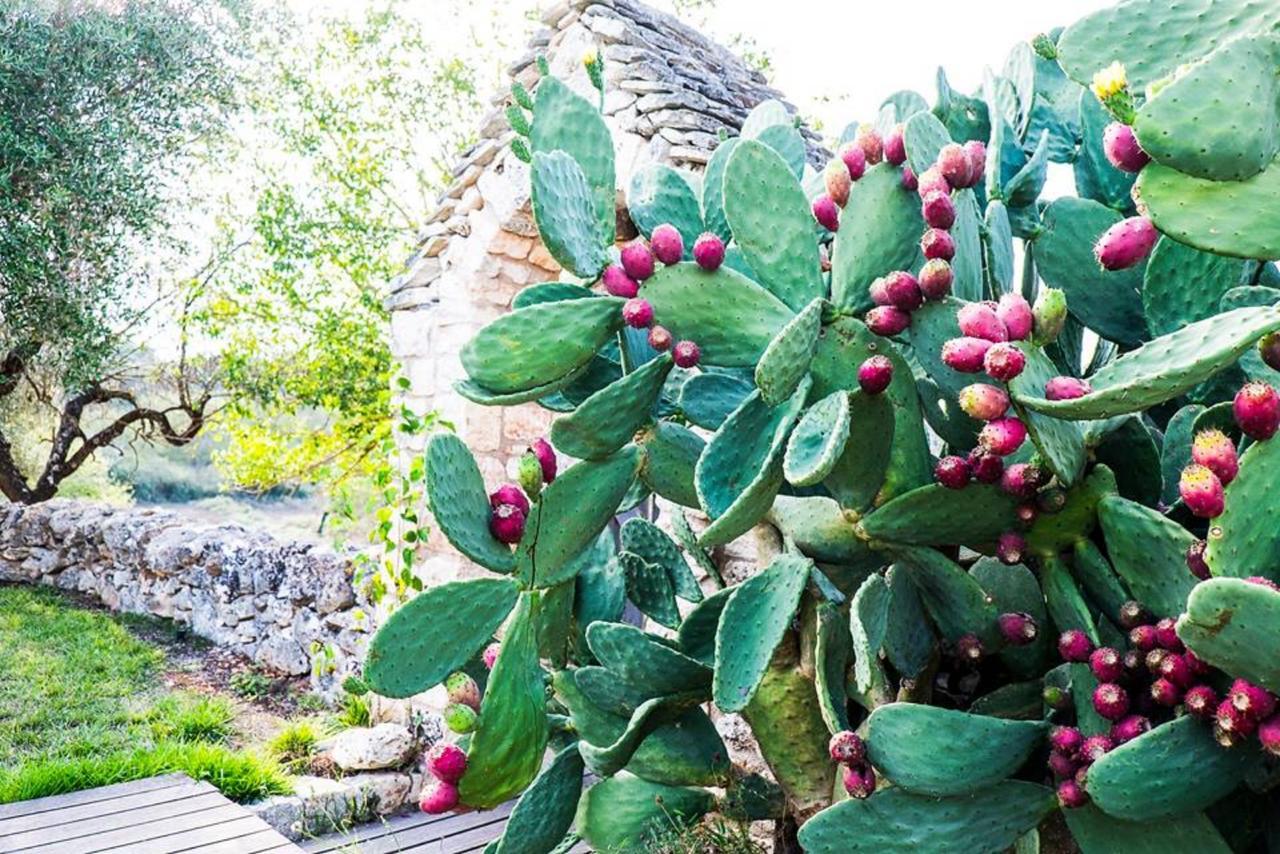 Masseria Trulli&Stelle B&B Noci Exterior foto