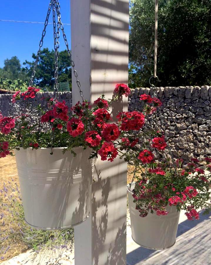Masseria Trulli&Stelle B&B Noci Exterior foto