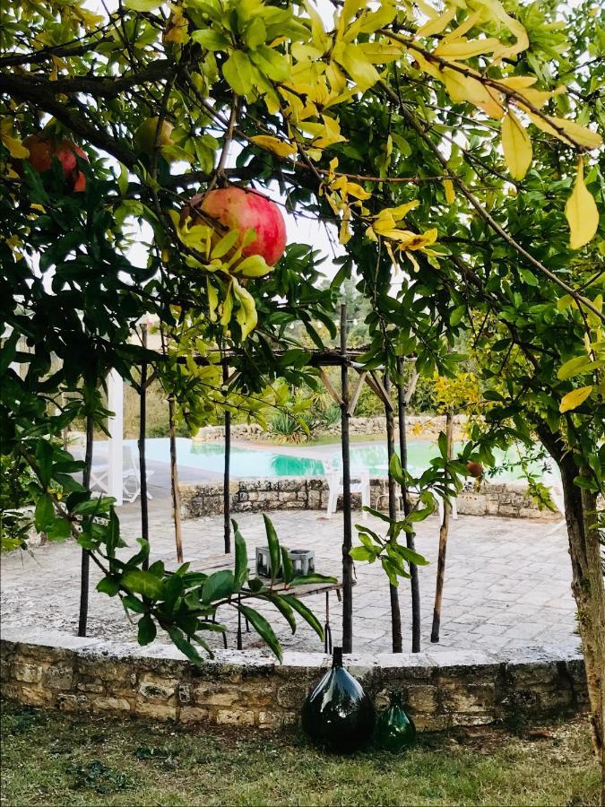 Masseria Trulli&Stelle B&B Noci Exterior foto